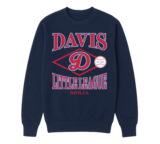 Vintage Collegiate Crew Neck - Adult Sizes