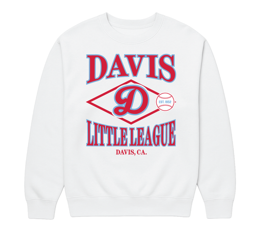 Vintage Collegiate Crew Neck - Youth Sizes